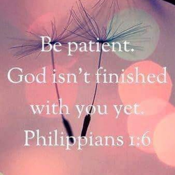 Meet your Posher, Janet - Picture 14 of 16